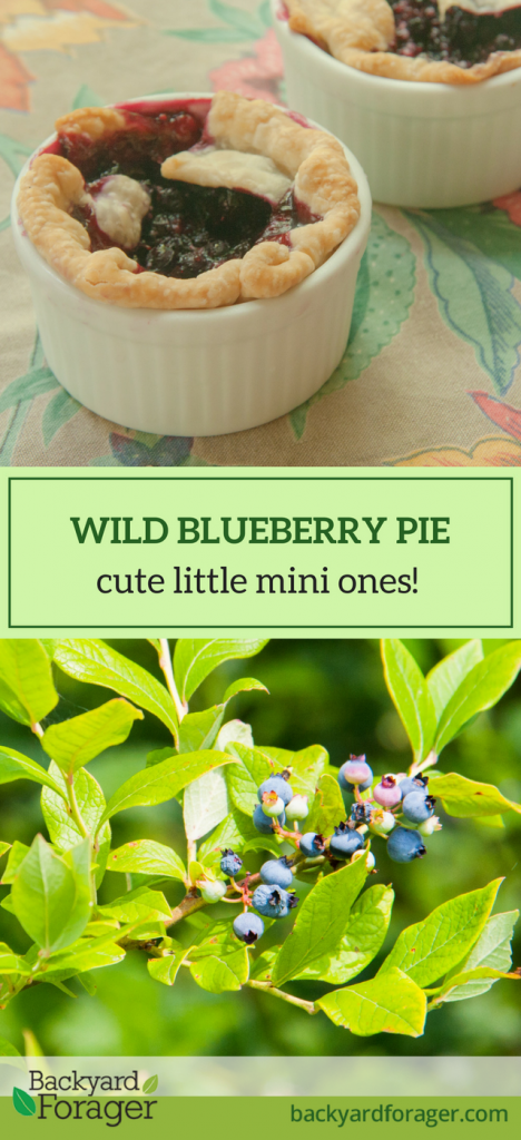 How will you use your wild blueberries?