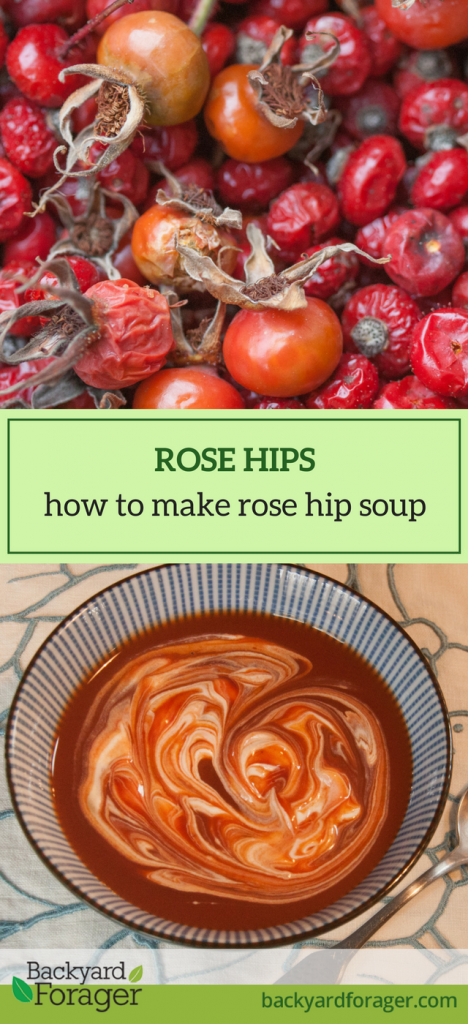 rose hip soup