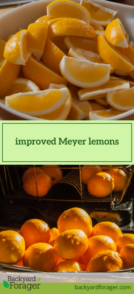 Meyer lemon