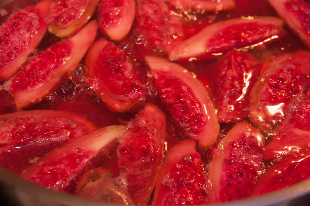 juicing prickly pear fruit