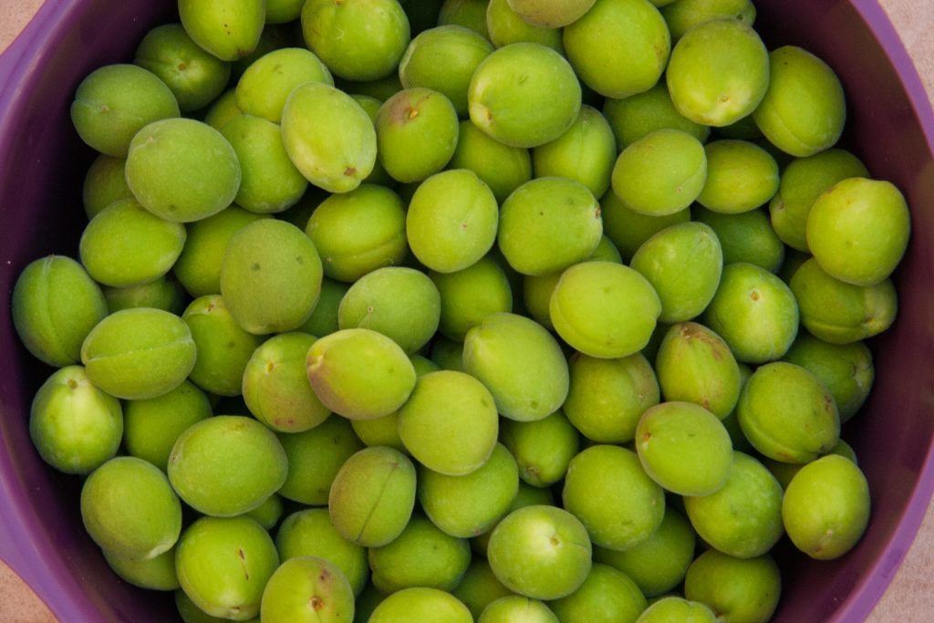 green apricots for apricot umeshu