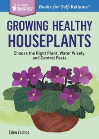 Growing Healthy Houseplants