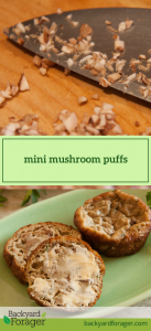 mini mushroom puffs
