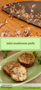 mini mushroom puffs
