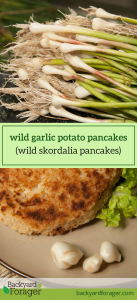 wild garlic potato pancake