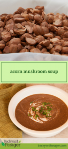 acorn mushroom soup