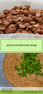 acorn mushroom soup
