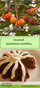 persimmon steamed