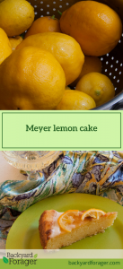 Meyer lemon cake