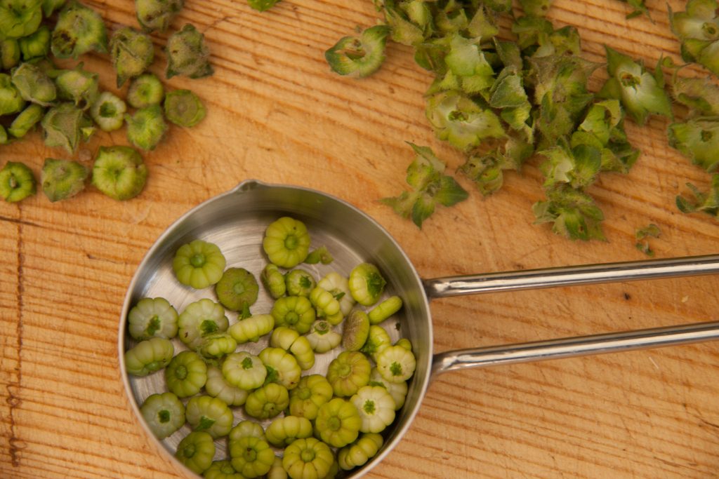 These mallow seeds are prepped and ready to boil.