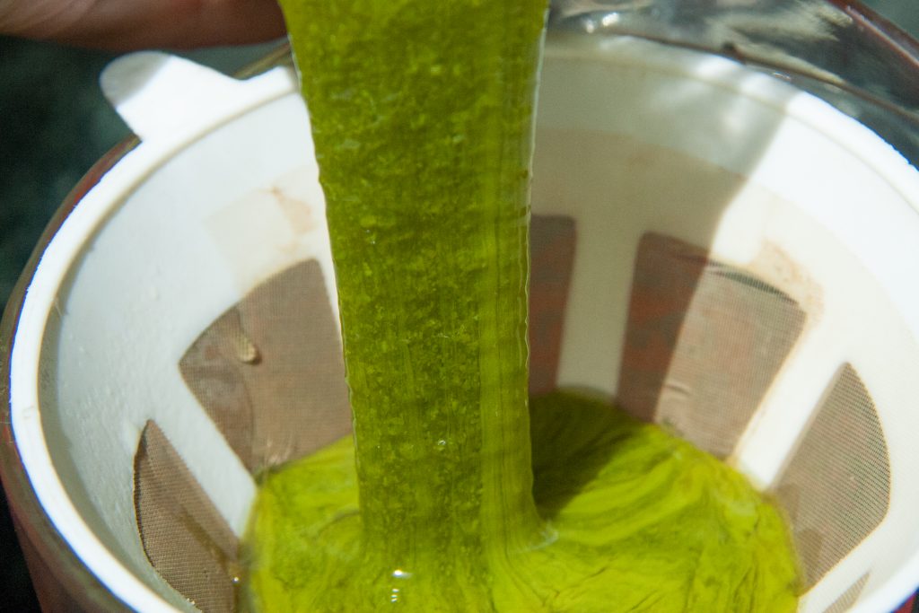 Behold the sassafras slime! (You don't drink this part.)