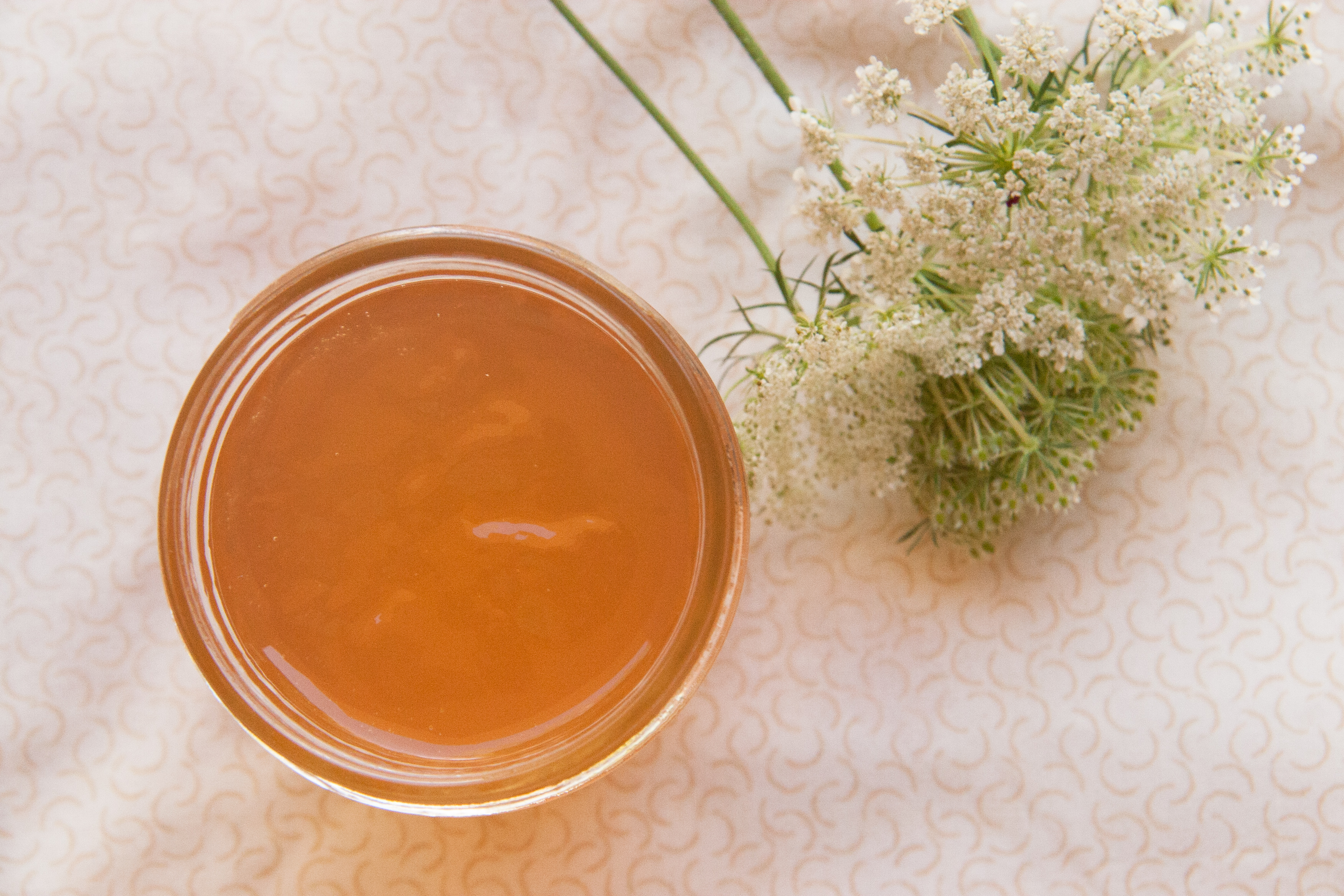 Queen Anne’s Lace Jelly: Recipe