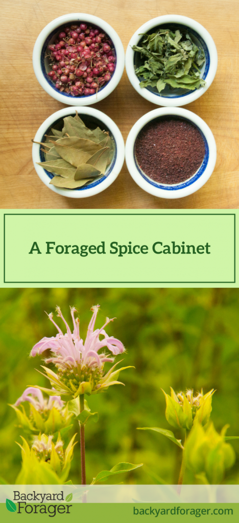 your foraged spice cabinet