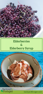 pour elderberry syrup over ice cream