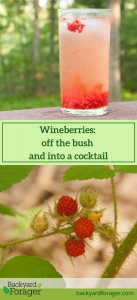 wineberry & elderflower cocktail