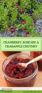 Cranberry, Rose Hip, and Crabapple Chutney