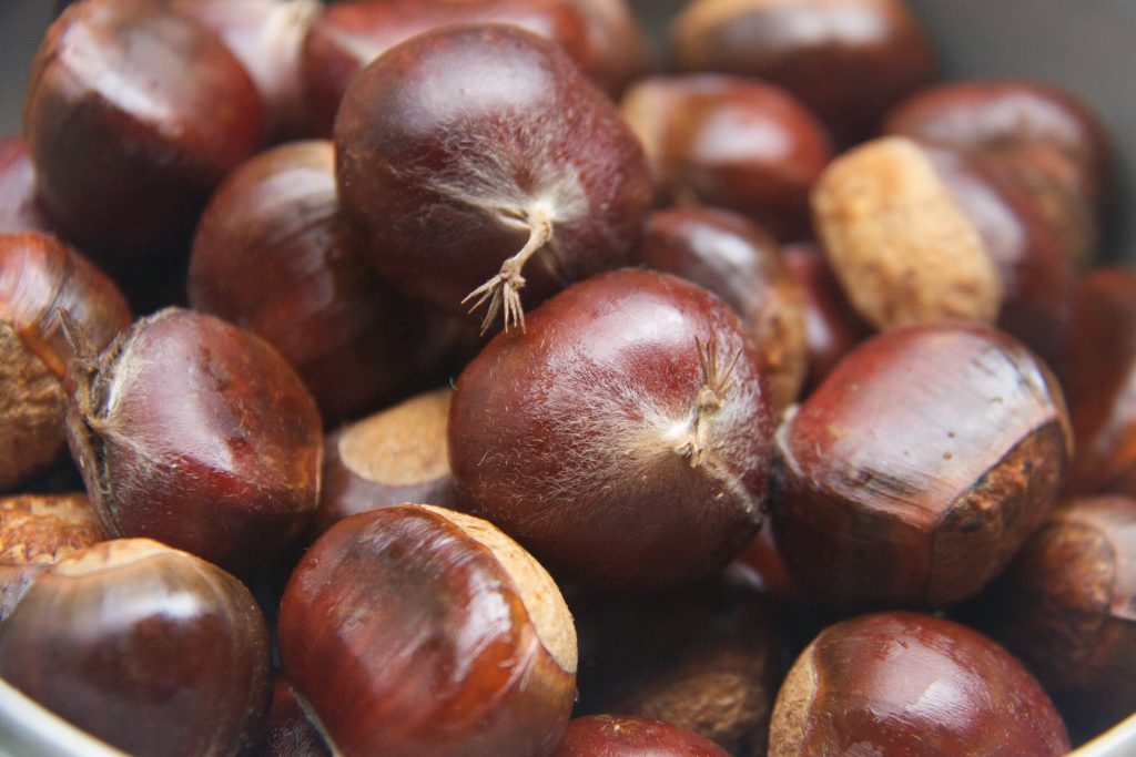 shelled chestnuts