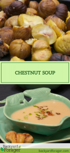 chestnut soup