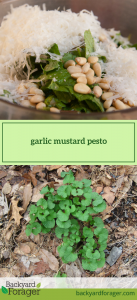 garlic mustard pesto