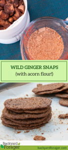 acorn flour wild ginger snaps