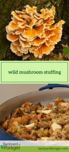 wild mushroom stuffing