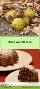 black walnut cake