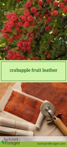 crabapple fruit leather