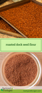 roasted dock seed flour