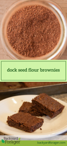 dock flour brownies