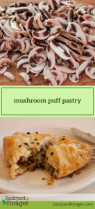 mushroom puff pastry