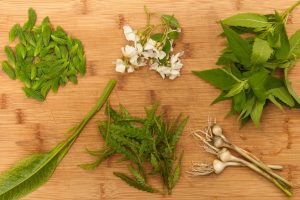 online foraging course