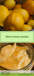 Meyer lemon mousse