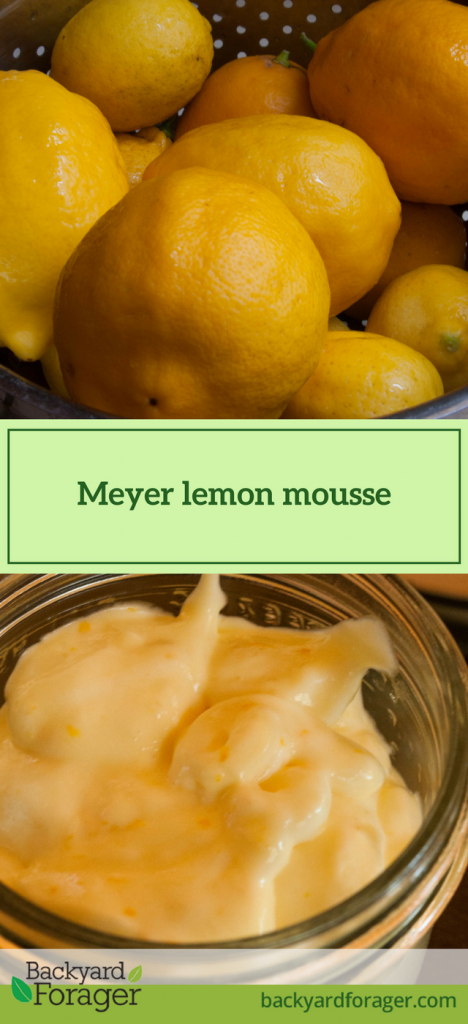 Meyer lemon mousse