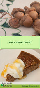 acorn sweet bread