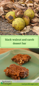black walnut carob dessert bar