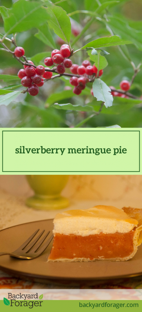 silverberry meringue pie