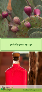 prickly pear syrup