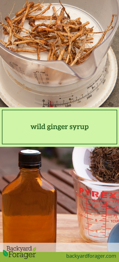 wild ginger syrup