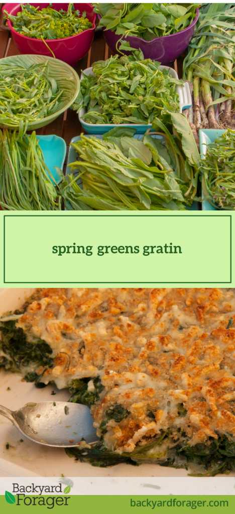 spring greens gratin