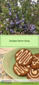 juniper berry icing