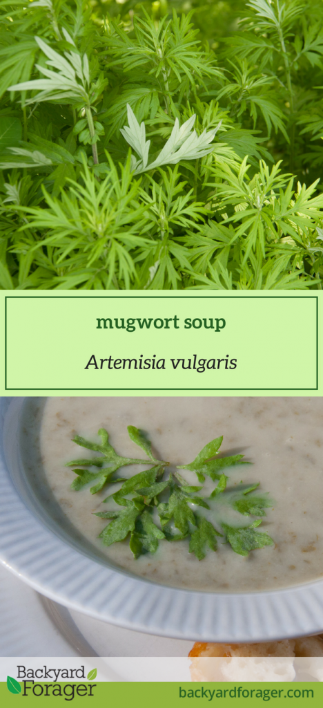 mugwort soup