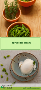 spruce ice cream