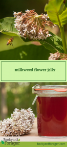 milkweed flower jelly
