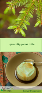 spruce tip panna cotta