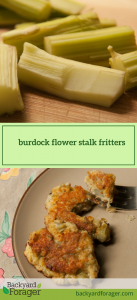 burdock flower stalk fritters