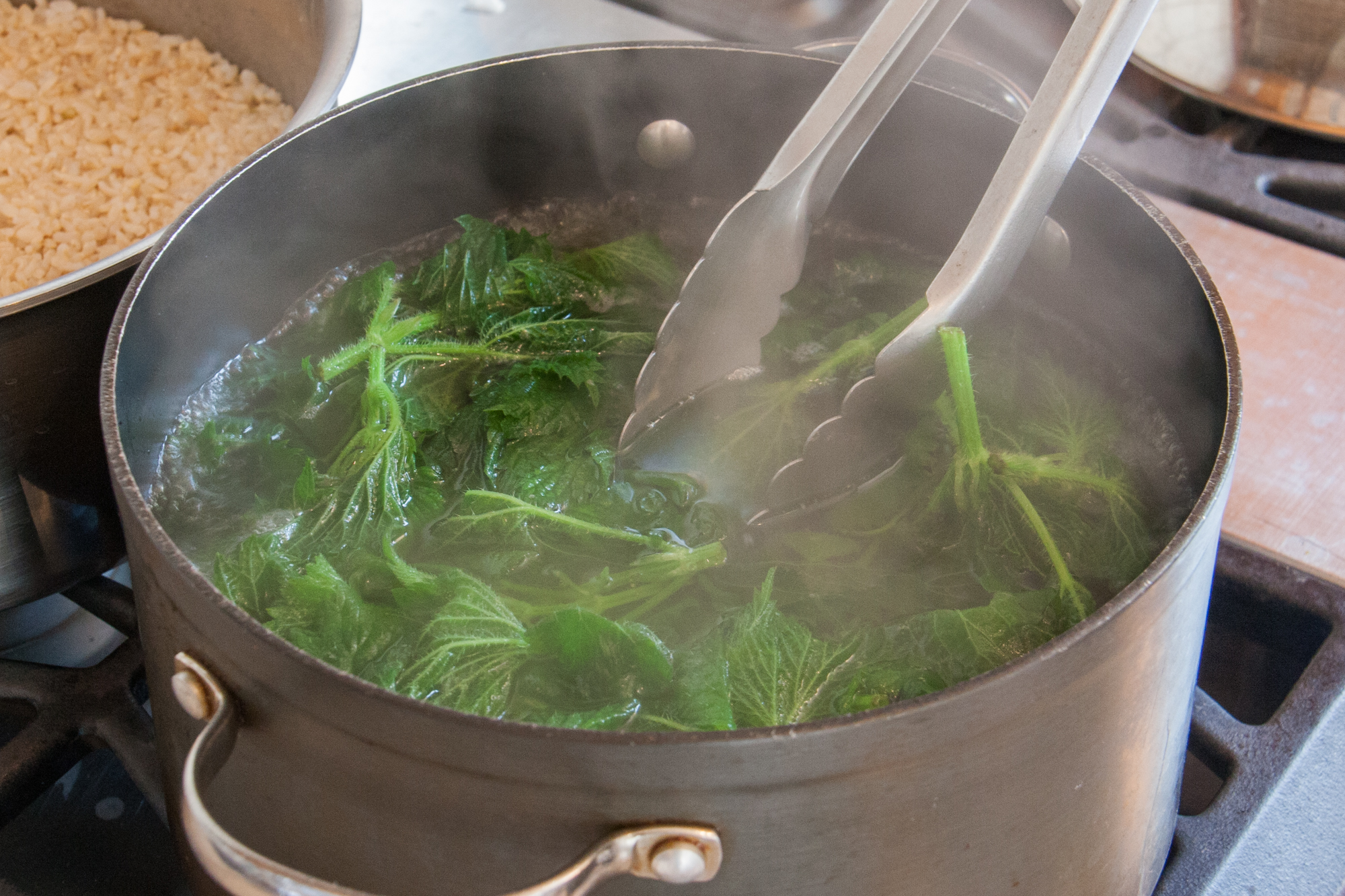 Blanching And Freezing Why It s Important Backyard Forager