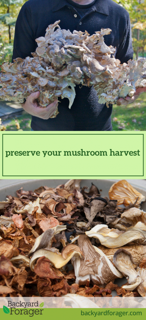 preserve your mushroom harvest