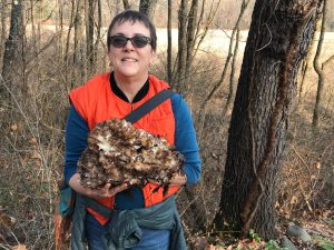 hen of the woods