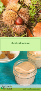 chestnut mousse