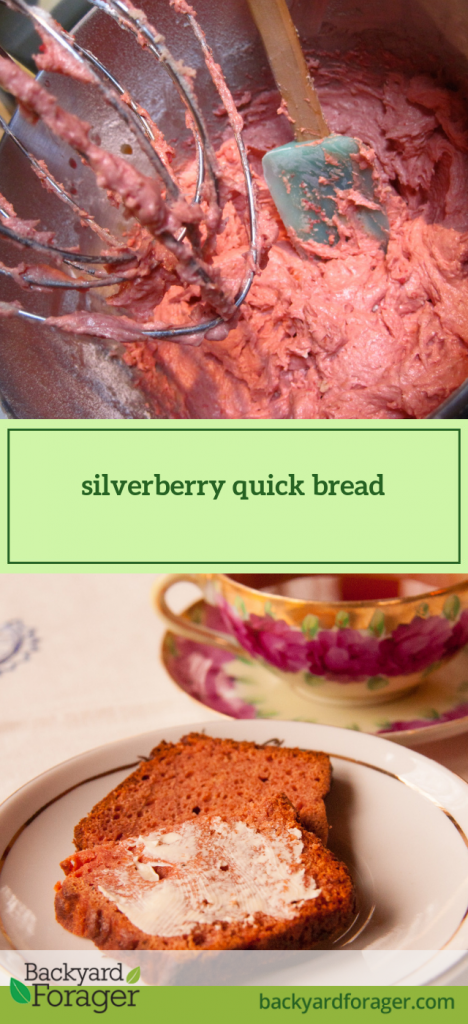 silverberry quick bread